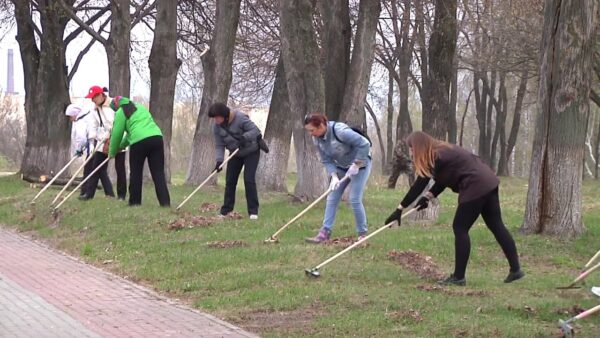 19 октября в Мозырском районе объявлен Днем наведения порядка. Именно 19 октября пройдет субботник.