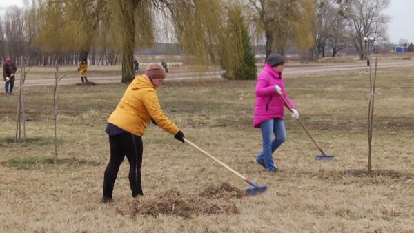 23 марта пройдет районный субботник