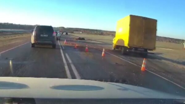 23 марта утром в результате ДТП пострадало 4 автомобиля и погибли две лошади
