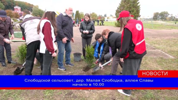 29 октября в Беларуси пройдет единый день озеленения