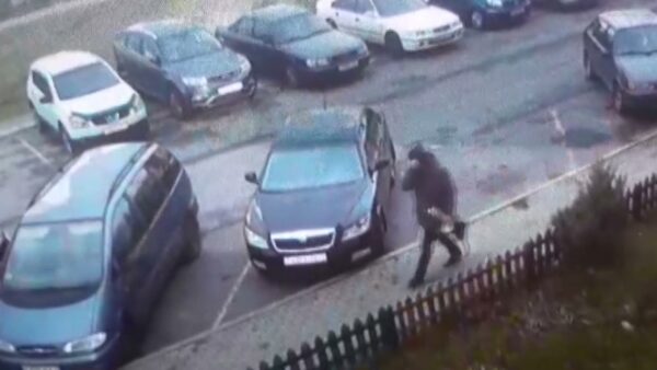 42-летний местный житель похитил игровой контроллер в виде гитары. Установить подозреваемого удалось с помощью камер видеонаблюдения