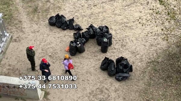 Благотворительный фонд «Экспресс помощи» нуждается в волонтерах