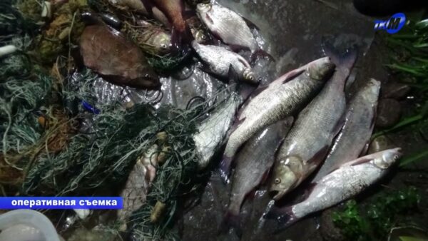 Десятки килограммов рыбы и тысячи рублей ущерба. На Припяти, в районе деревни Стрельск, задержаны браконьеры