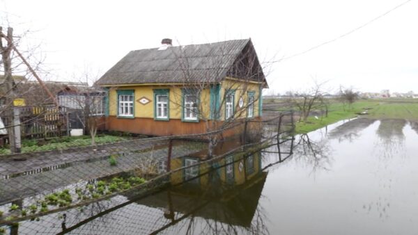 До реки далеко, а в Мелешковичах затопило дома. Виной тому – грунтовые и талые воды