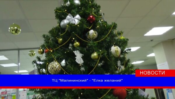 «Елка желаний» установлена в ТЦ «Малининский». Стать добрым волшебником для воспитанников Мозырского детского дома может каждый