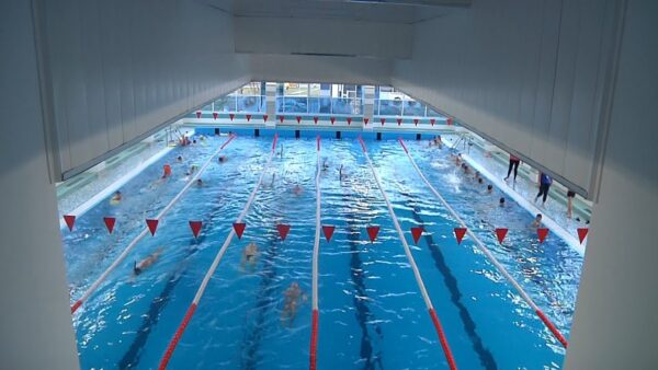 «Фестиваль плавания «Золотая рыбка»