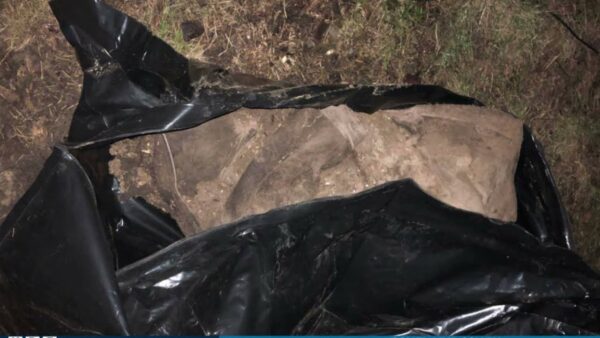 Гомельский областной суд в выездном судебном заседании в Мозыре начал рассмотрение уголовного дела в отношении жителя Ельска, который убил свою сожительницу