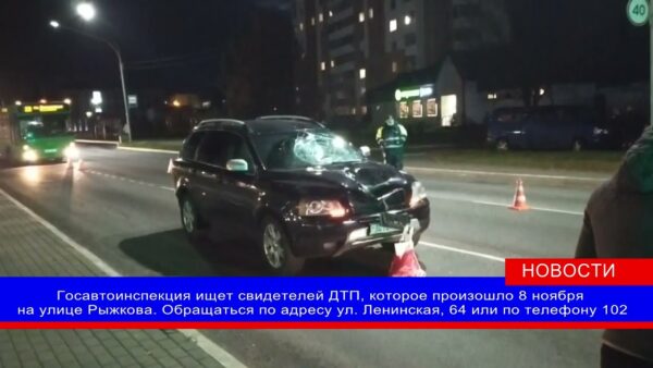 Госавтоинспекция ищет свидетелей смертельного ДТП, которое произошло 8 ноября на улице Рыжкова