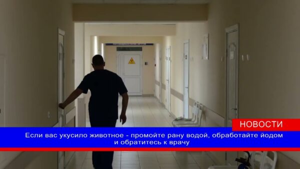 Информация зонального центра гигиены и эпидемиологии. Врачи напоминают о том, как действовать в случае укуса животного