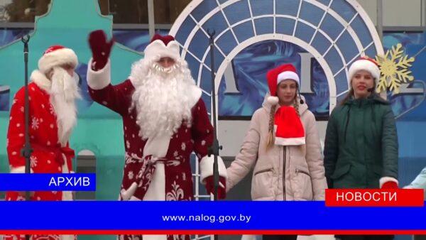 Инспекция МНС по Мозырскому району в преддверии новогодних праздников проводит ежегодную акцию «Дед Мороз, не забудь уплатить налоги!»