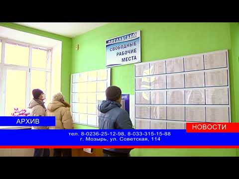 Каким профессиям можно обучиться в Мозыре бесплатно? Об этом рассказали в службе занятости