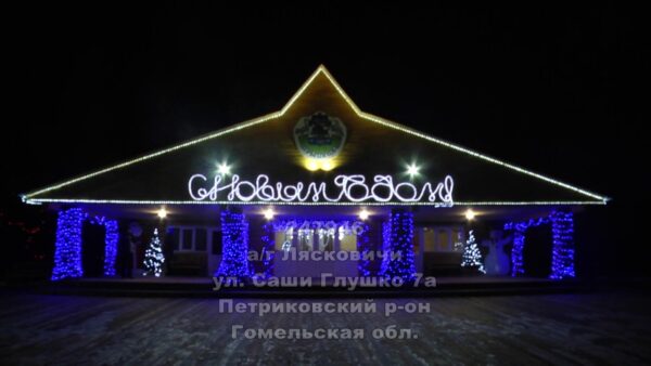 Конкурс на лучшее письмо Деду Морозу объявили в нацпарке «Припятский»