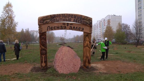 Лесная аллея