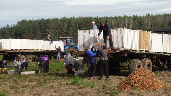 Лето для молодежи – это не только долгожданные каникулы, но и возможность подзаработать. Вакансии предлагает БРСМ