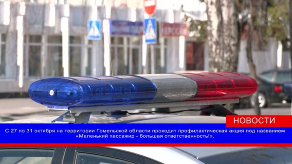 «Маленький пассажир – большая ответственность». С 27 октября ГАИ проводит тематическое мероприятие.