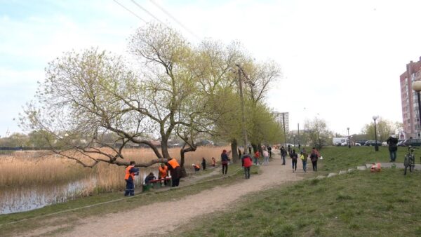 Мозырщина поддержала республиканскую акцию по наведению порядка на земле