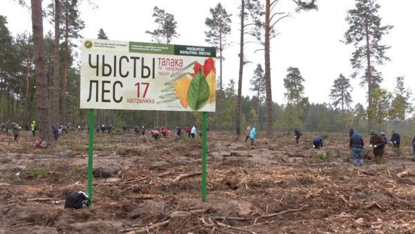 Мозырщина присоединились к республиканской акции «Чистый лес».