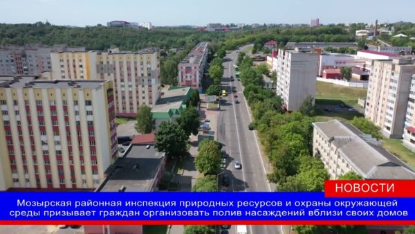 Мозырская районная инспекция природных ресурсов и охраны окружающей среды призывает всех неравнодушных помочь зеленым насаждениям в жару