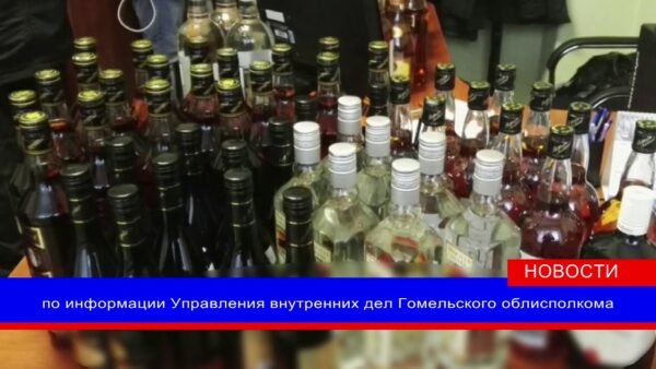 Мозырские правоохранители обнаружили у местного жителя более 100 литров алкогольной продукции