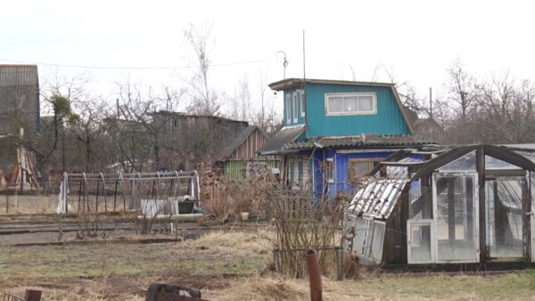 Мозырские правоохранители задержали серийного дачного вора
