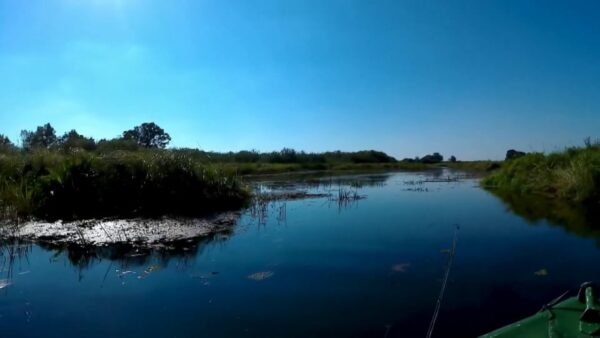 Мужчина утонул в реке Ипа в Калинковичском районе