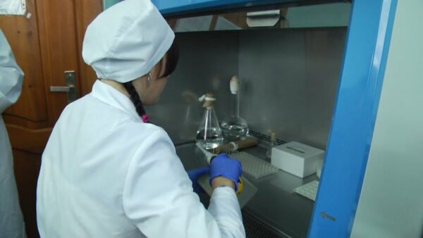 На базе Мозырской районной ветеринарной станции прошел День открытых дверей для старшеклассников