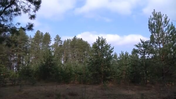 На Мозырщине проснулись клещи