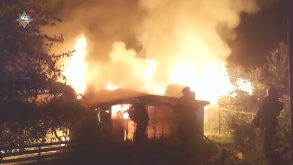 На пожаре в Мозырском районе погиб пенсионер