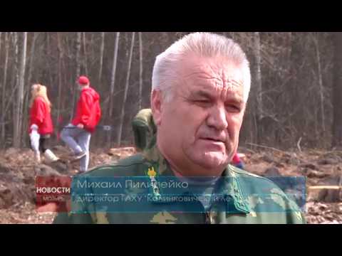 «Неделя леса-2019» в Калинковичах