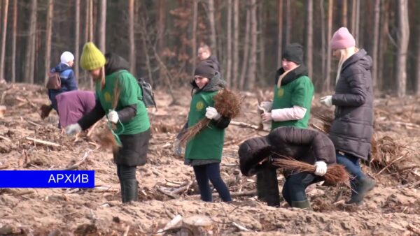 «Неделя леса» пройдет с 3 по 10 апреля. Об этом сообщает Министерство лесного хозяйства