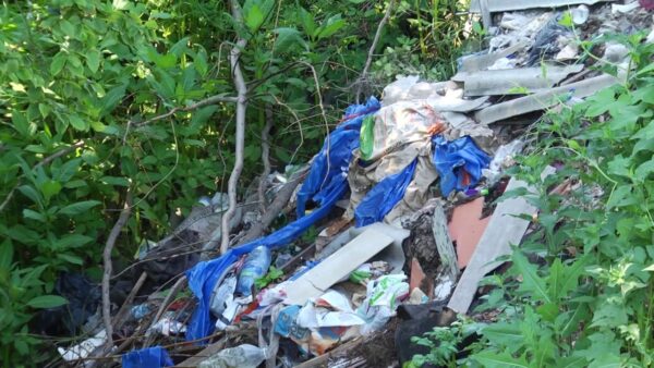 Овраги Мозыря – несанкционированные свалки. Рейд