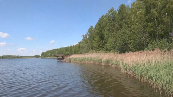 Перспективы развития фермерства, возможности внутреннего туризма и условия комфортной жизни на селе обсуждали участники Дня сельсовета в Скрыгалове
