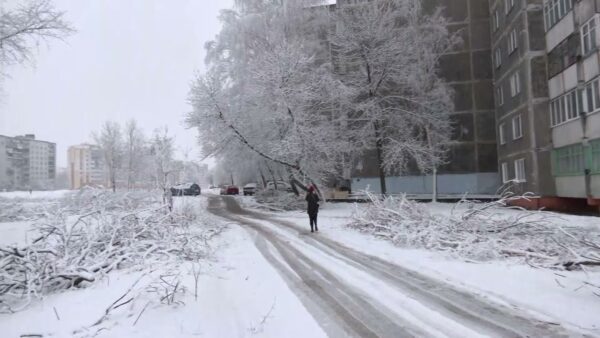 Почему вырубили деревья на улице Малинина?