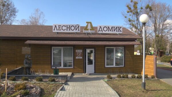 Полезный напиток с ароматом весны. В Мозырском районе начали заготавливать березовый сок