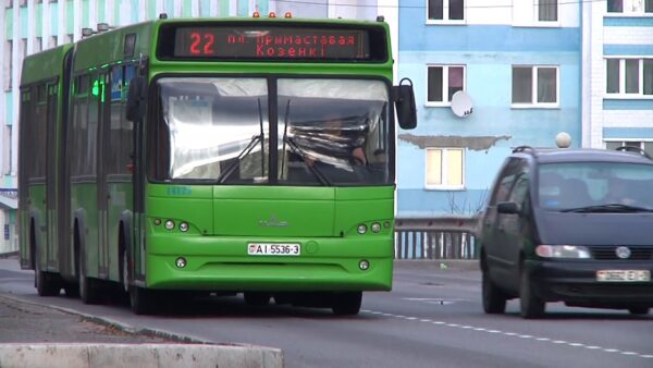 Пьяному не место за рулем! С 22 февраля по 3 марта на территории Гомельской области ГАИ проводит профилактическое мероприятие