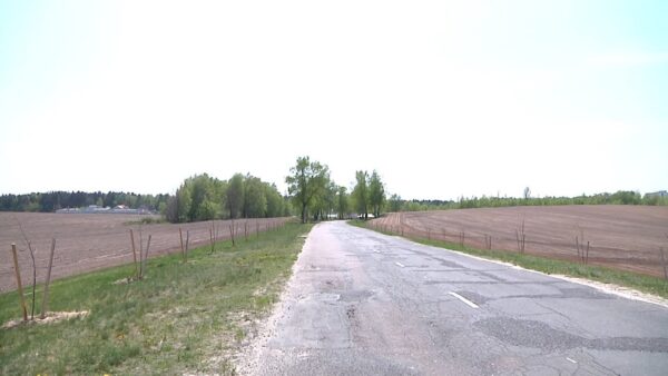 Рядом с горнолыжным комплексом высадили несколько десятков деревьев