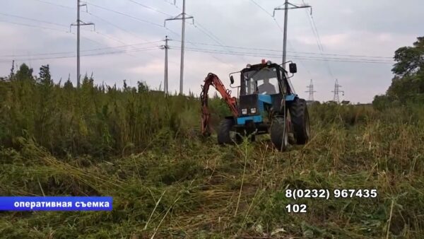 С 1 июня по 15 сентября в республике проводится специальная программа «Мак»