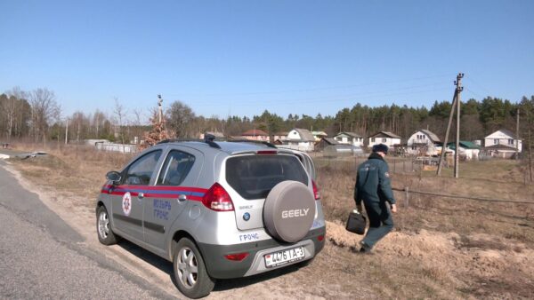 С начала года на ликвидацию горения сухой растительности спасатели МЧС направлялись более 50 раз
