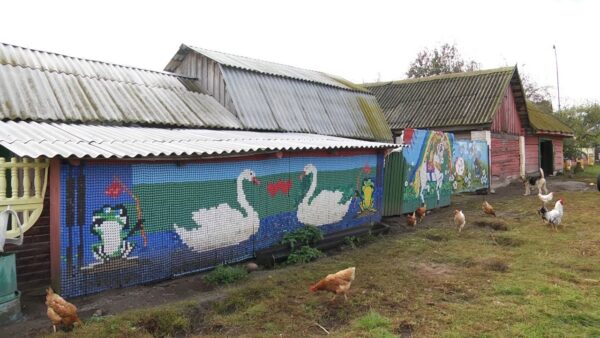 «Сад-огород» и «Лучшее ветеранское подворье». Итоги конкурса