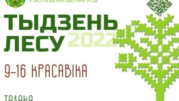 Самую активную школу и самый активный класс определят на «Неделе леса-2022». Победителей ждут подарки от областного лесхоза