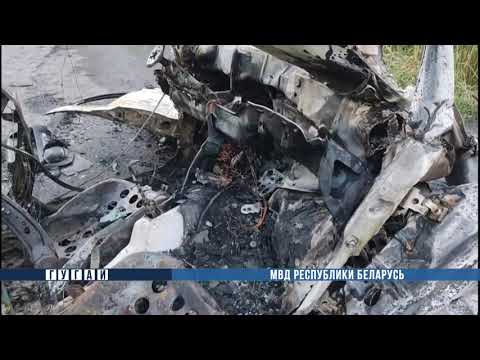 Сегодня ночью в Калинковичском районе бесправник врезался в дерево: погибла пассажирка