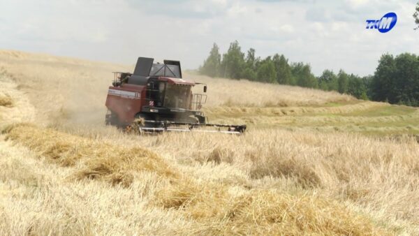 Семейный экипаж экспериментальной базы «Криничная» трудится на новом комбайне «Гомсельмаша»