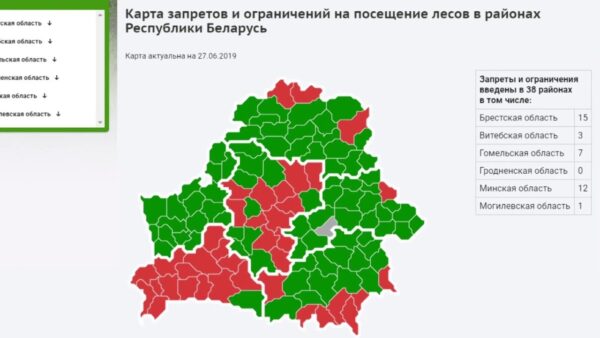 Снят запрет на посещение лесов