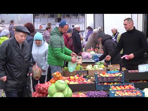 Студенты помогут пожилым людям доставить сельхозпродукцию, купленную на осенних ярмарках
