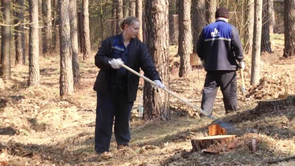 Субботник в санатории «Сосны»