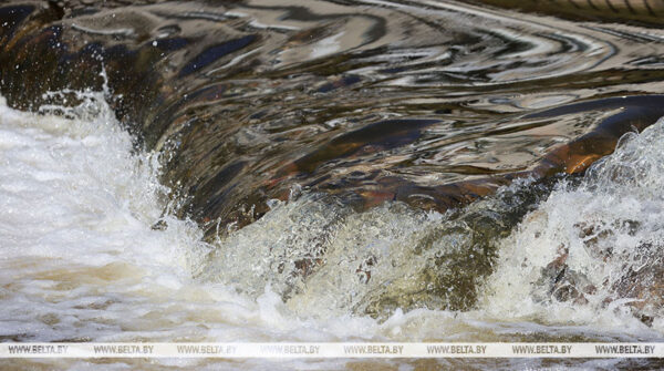 В Калинковичском и Рогачевском районах подтоплены 5 подворий паводок