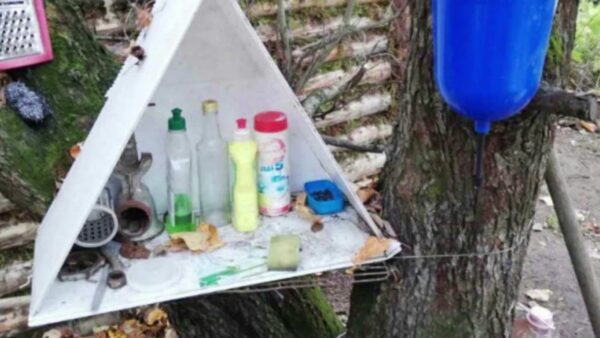 Тюрьме предпочел шалаш в лесу. В Рогачевском районе задержан вор-отшельник