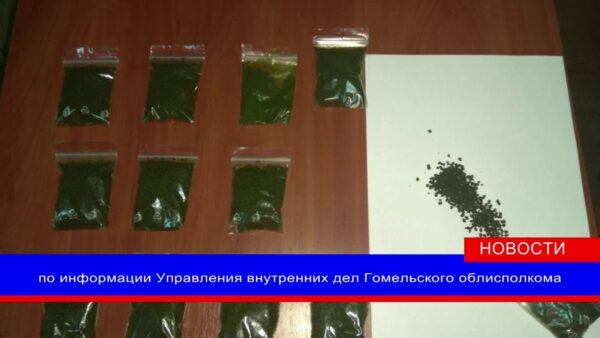 У мозырянина изъяли 338 г насвая