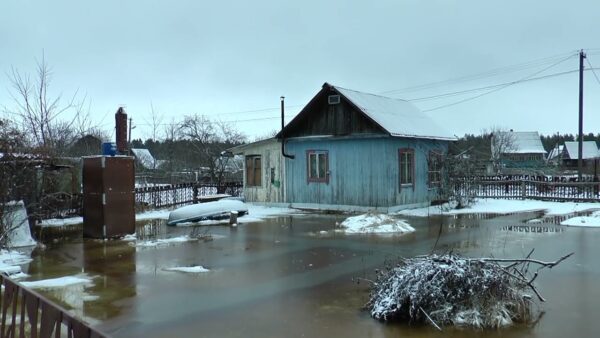 Уровень воды в Припяти продолжает приближаться к опасной отметке