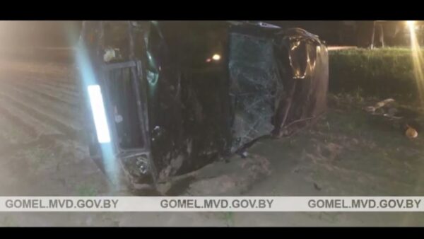 В ДТП под Мозырем едва не пострадали двое маленьких детей. По предварительной информации, женщина-водитель была нетрезвой